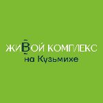 СЗ Сокол тысячелетия